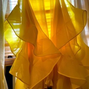 Dress with exaggerated ruffle sleeves